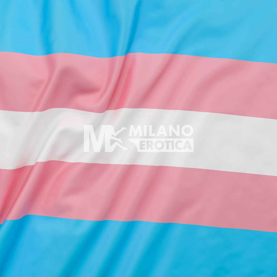 TRANS CERCA INCONTRI